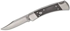 BUCK KNIVES Buck 110 Auto Elite 11667 Folding Hunter 3.75" S30V G10 (USA)