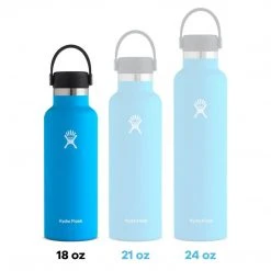Water Filtration Hydro Flask 18 Oz Standard Mouth Bottle (Rain)