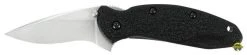 Kershaw Scallion 1620 A/0 Knife Kershaw Knives