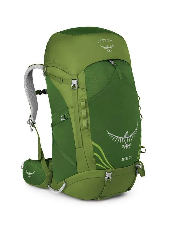 Budget π₯ OSPREY PACKS Osprey ACE 75 Kids Overnight π Backpack π Backpacks π₯ 3 OSPREY PACKS Osprey ACE 75 Kids Overnight Backpack Backpacks